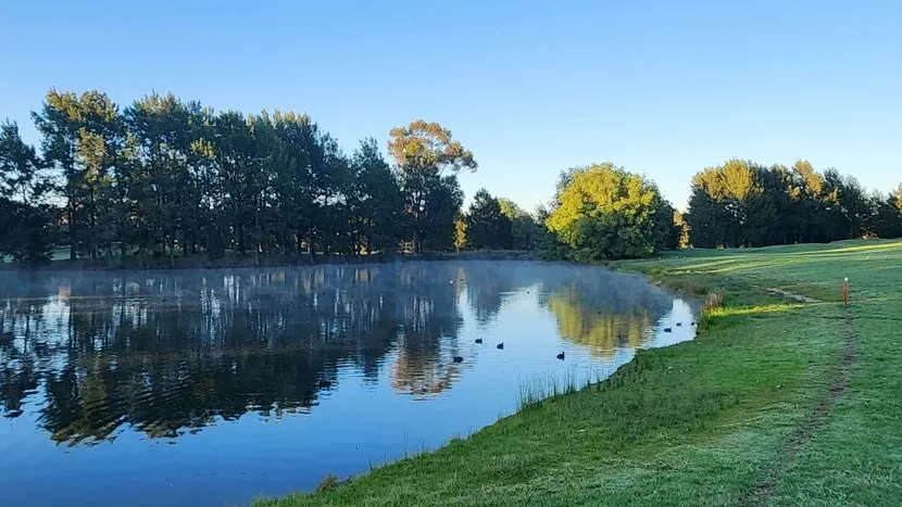 Фото: ManBat/Shutterstock/Fotodom