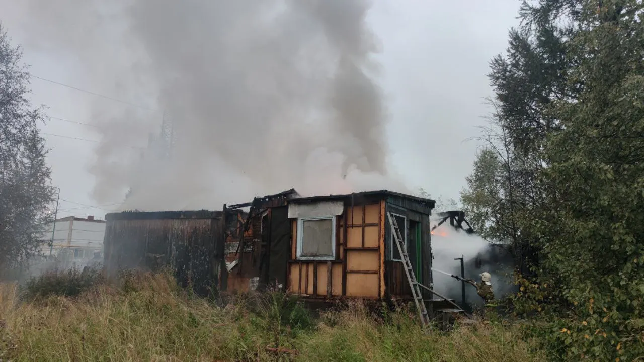 Фото: «Ямал-Медиа»