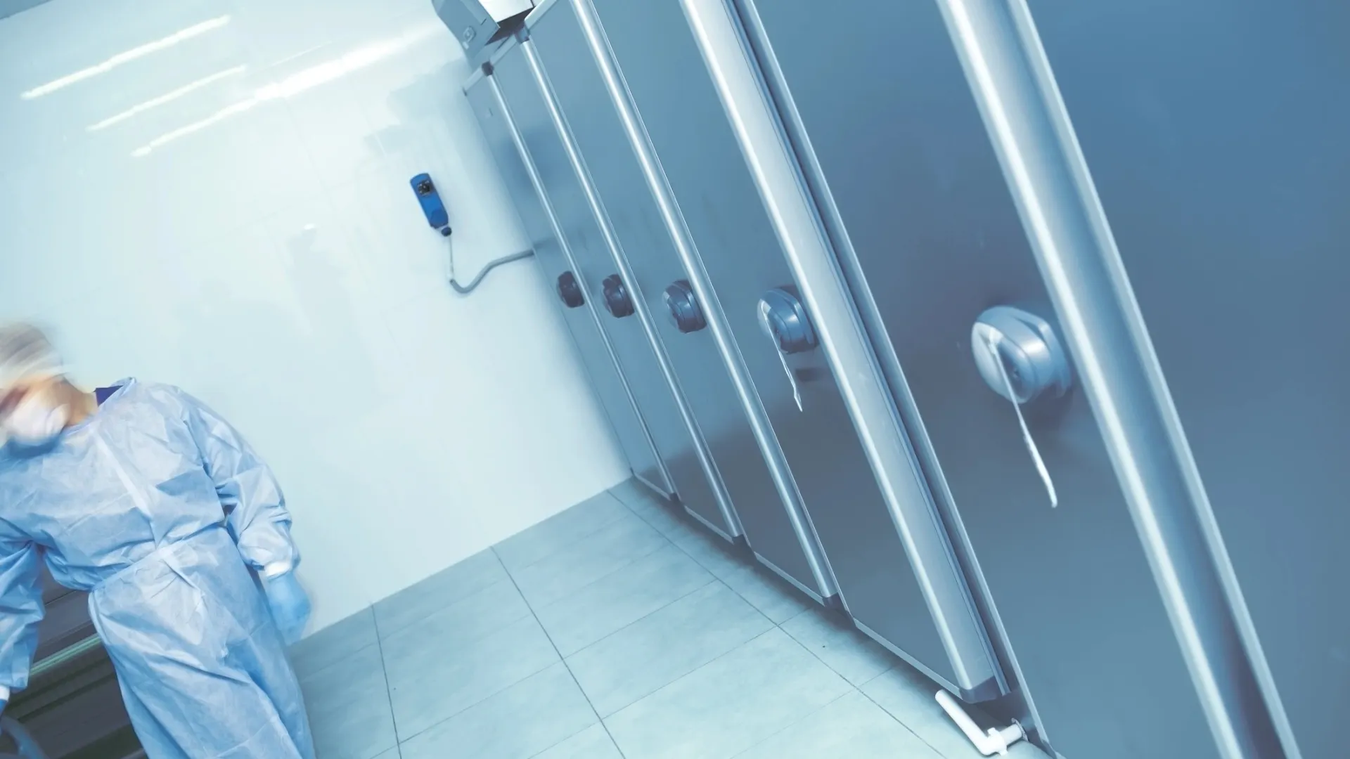 Фото: sfam_photo/Shutterstock/Fotodom