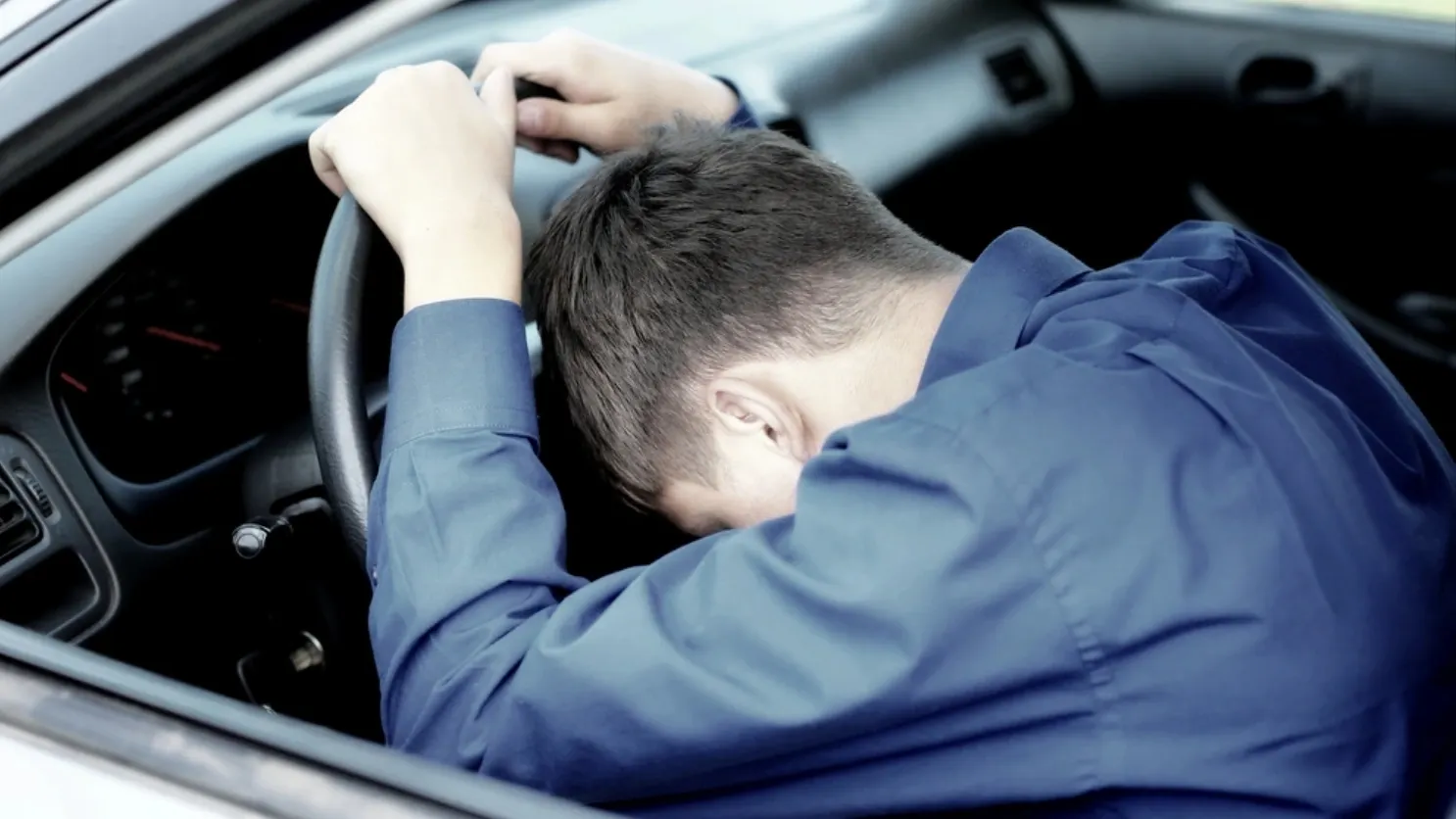 Фото: Sabphoto/shutterstock.com/Fotodom