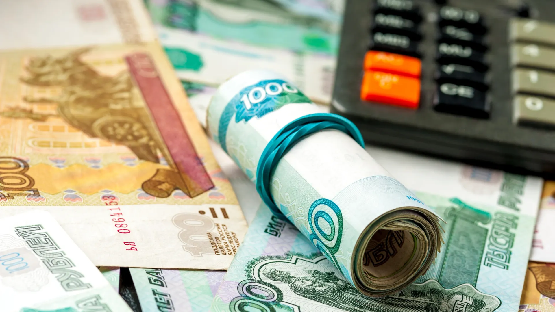 Фото: Paul Biryukov/Shutterstock/Fotodom