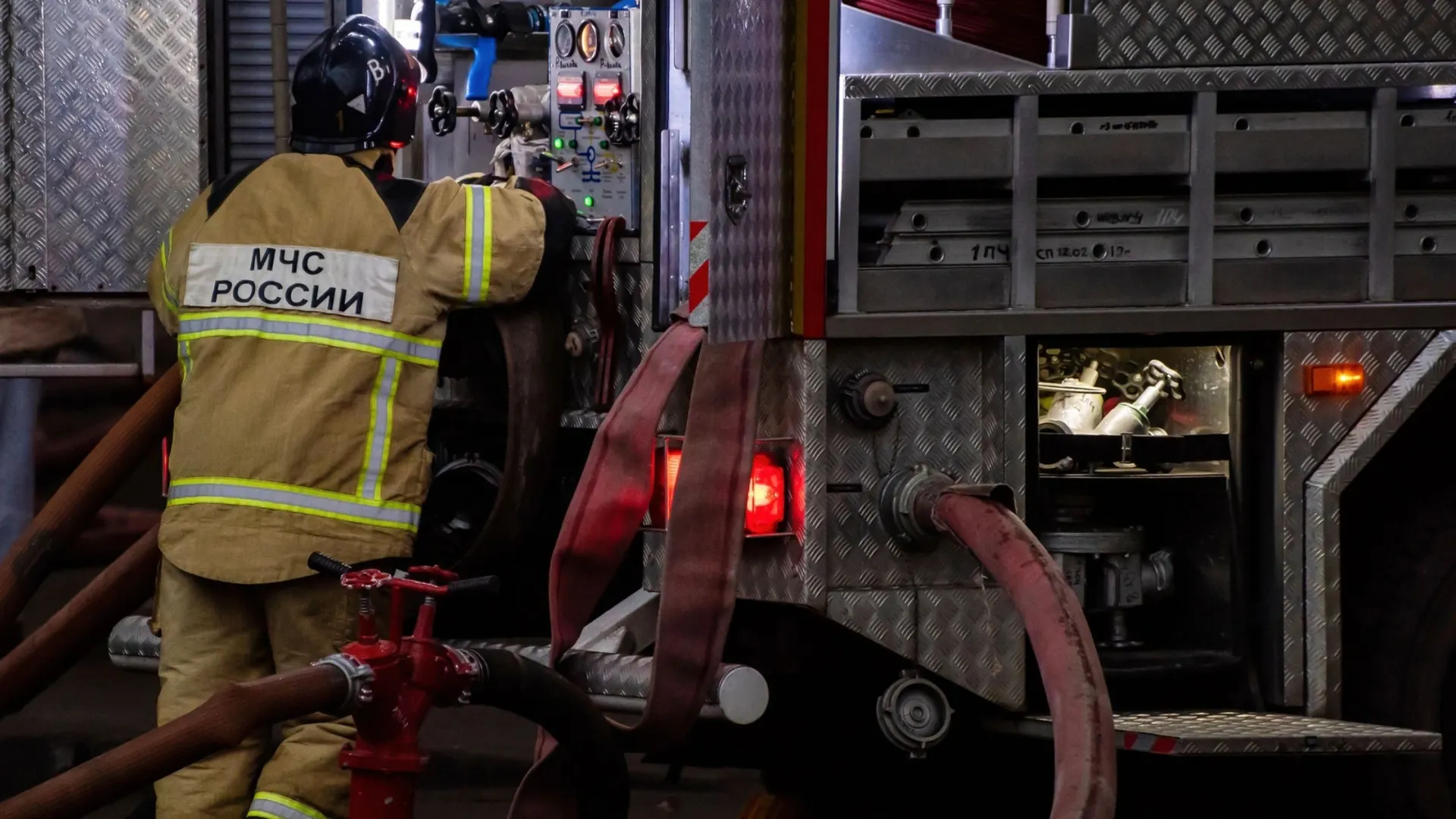 Фото: fifg/Shutterstock/Fotodom