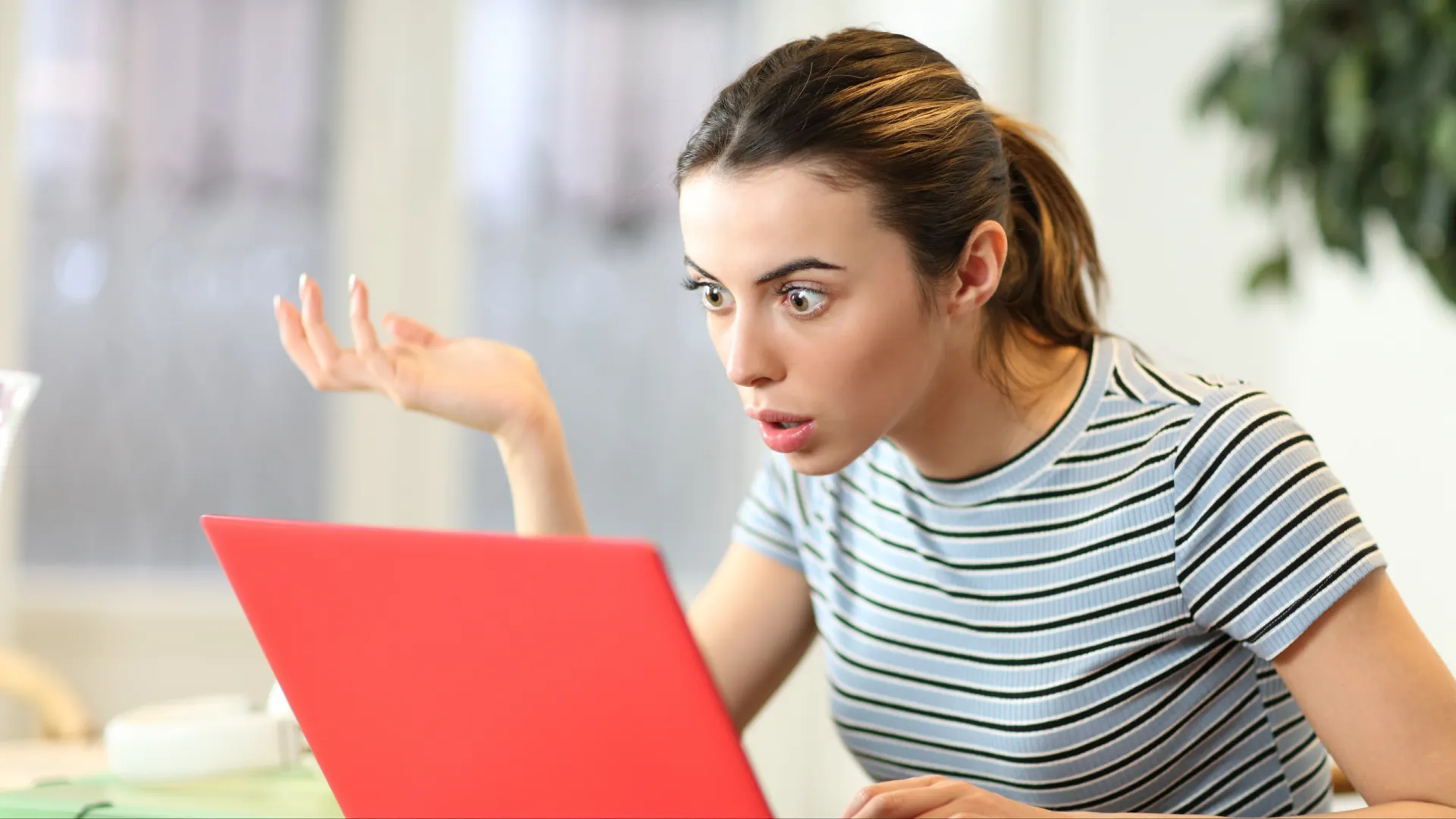 Фото: Antonio Guillem/Shutterstock/Fotodom