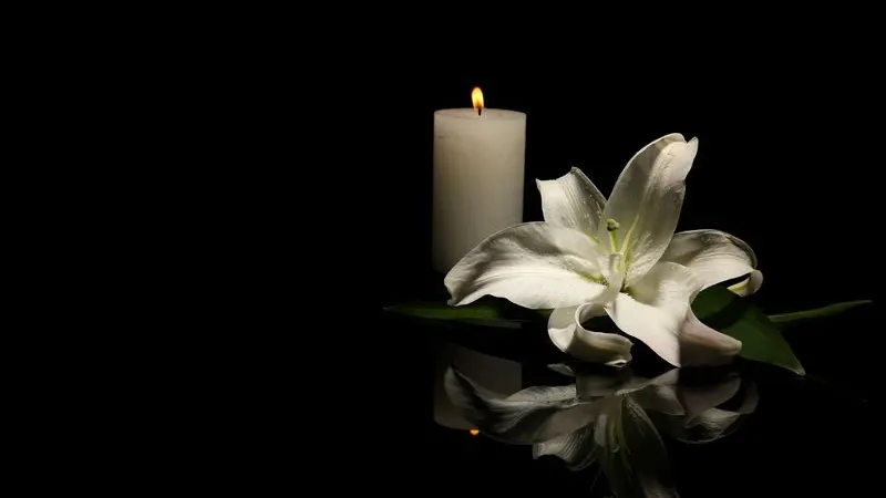 Фото: New Africa/Shutterstock/Fotodom