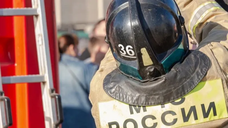 Фото: Ilya_Kuznetsov/Shutterstock/Fotodom