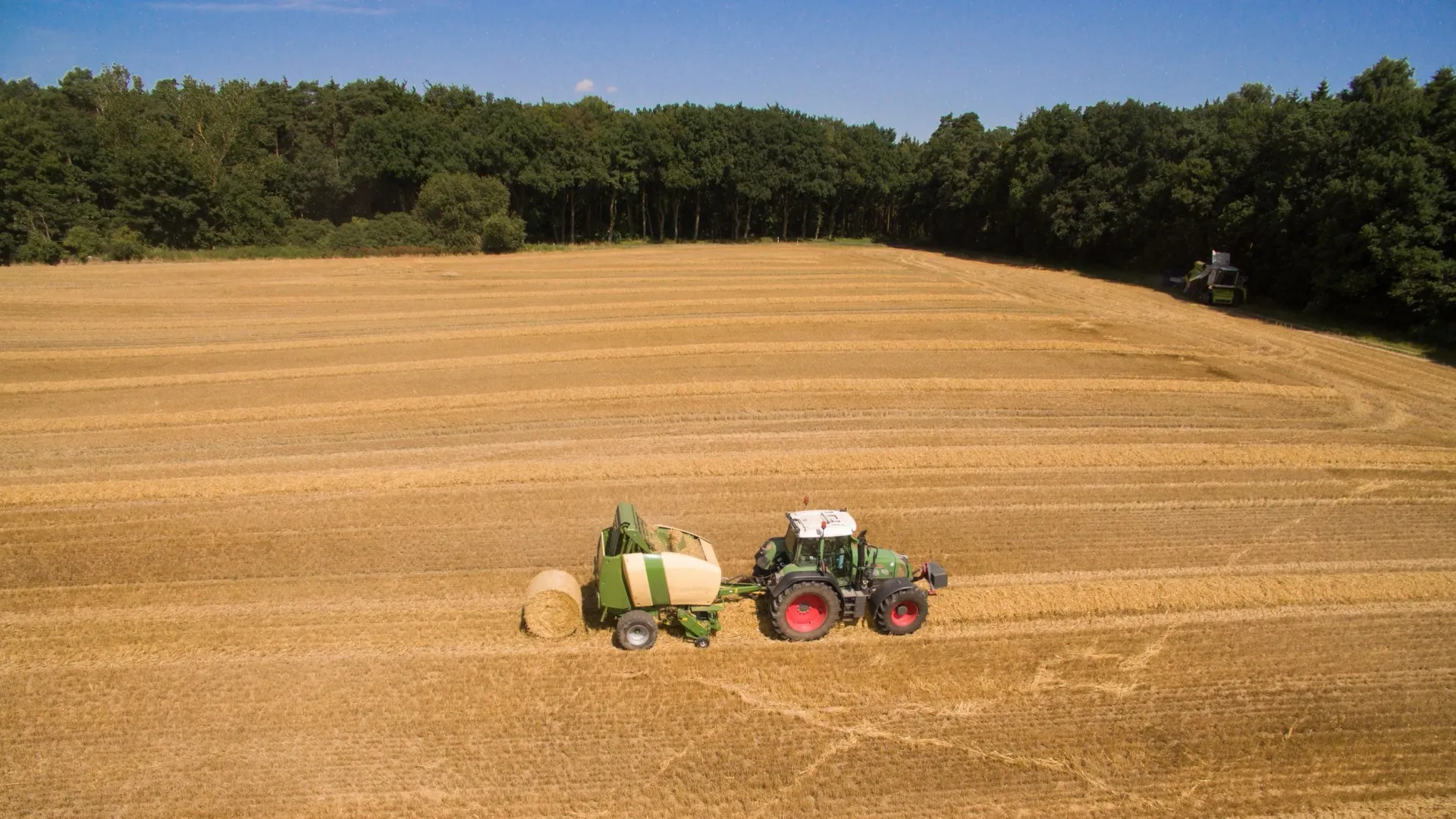 Фото: RikoBest/Shutterstock/Fotodom