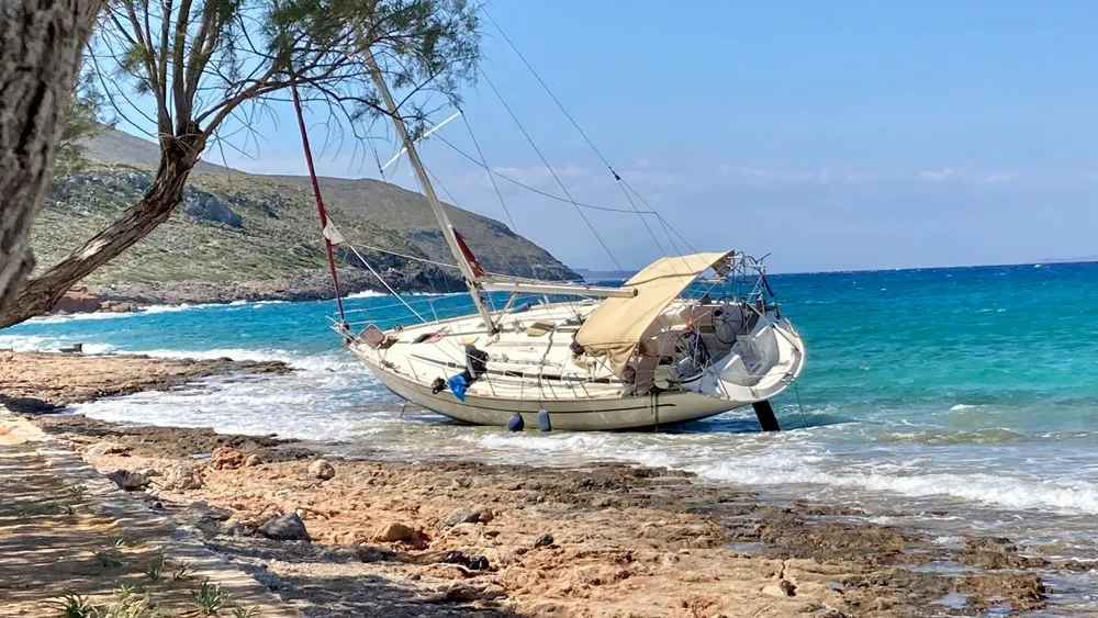 Фото: Niki Grims/Shutterstock/Fotodom