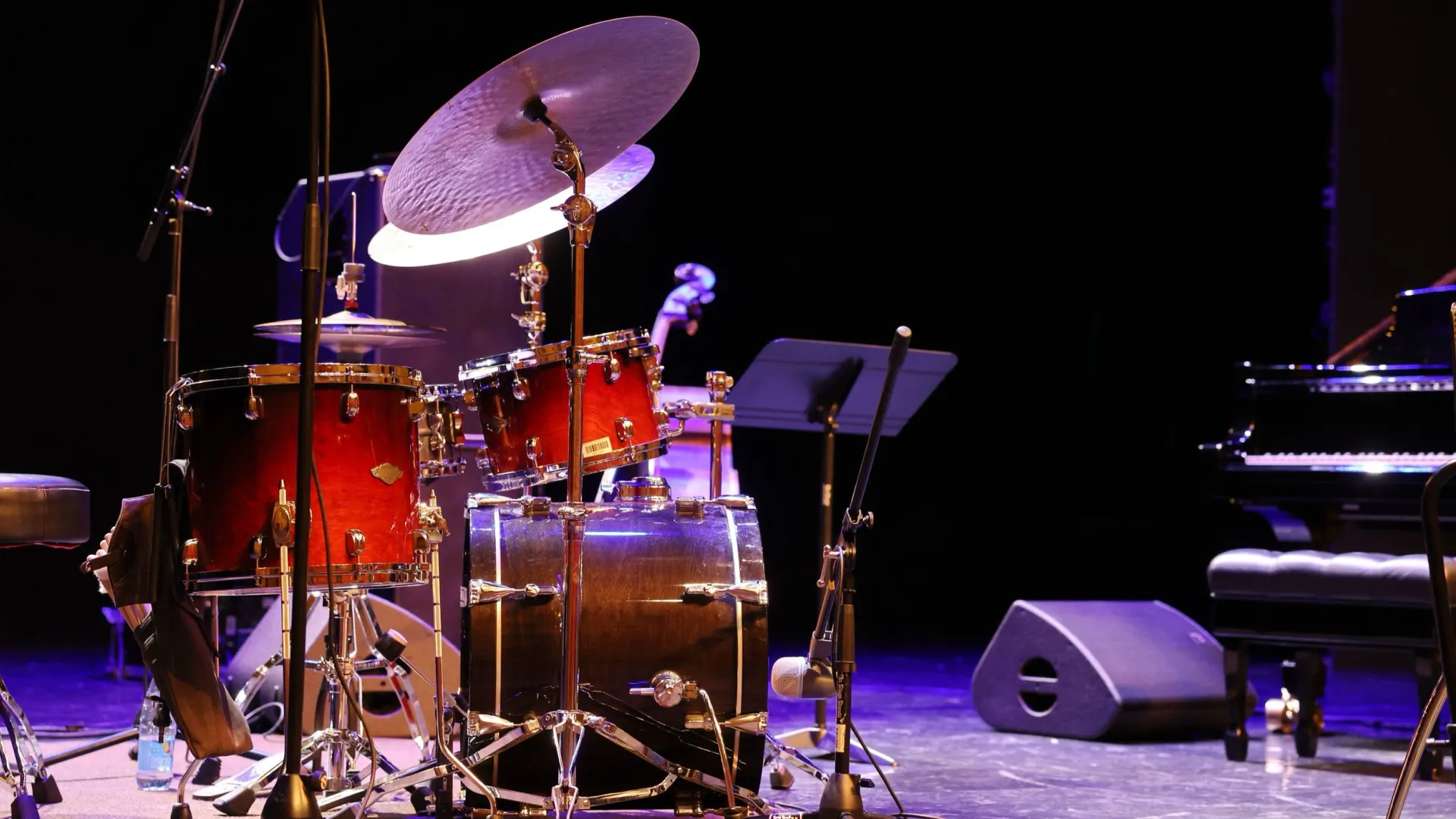 Фото: Андрей Ткачёв / «Ямал-Медиа»