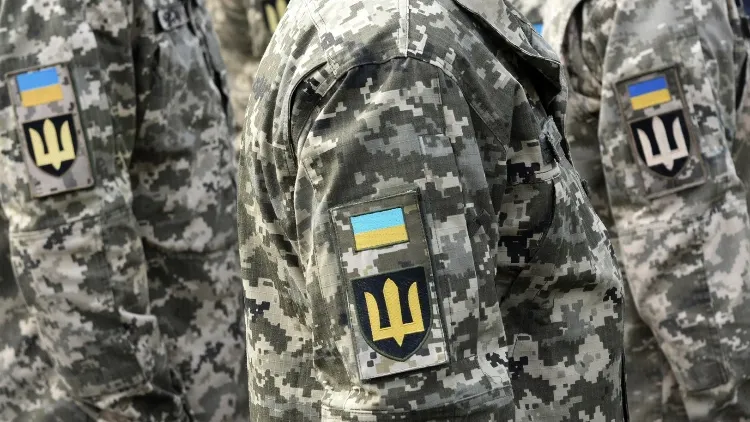 Фото: Bumble Dee/Shutterstock/Fotodom