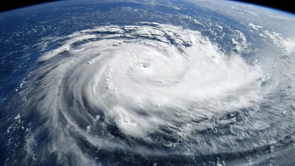 Фото: Triff/Shutterstock/Fotodom