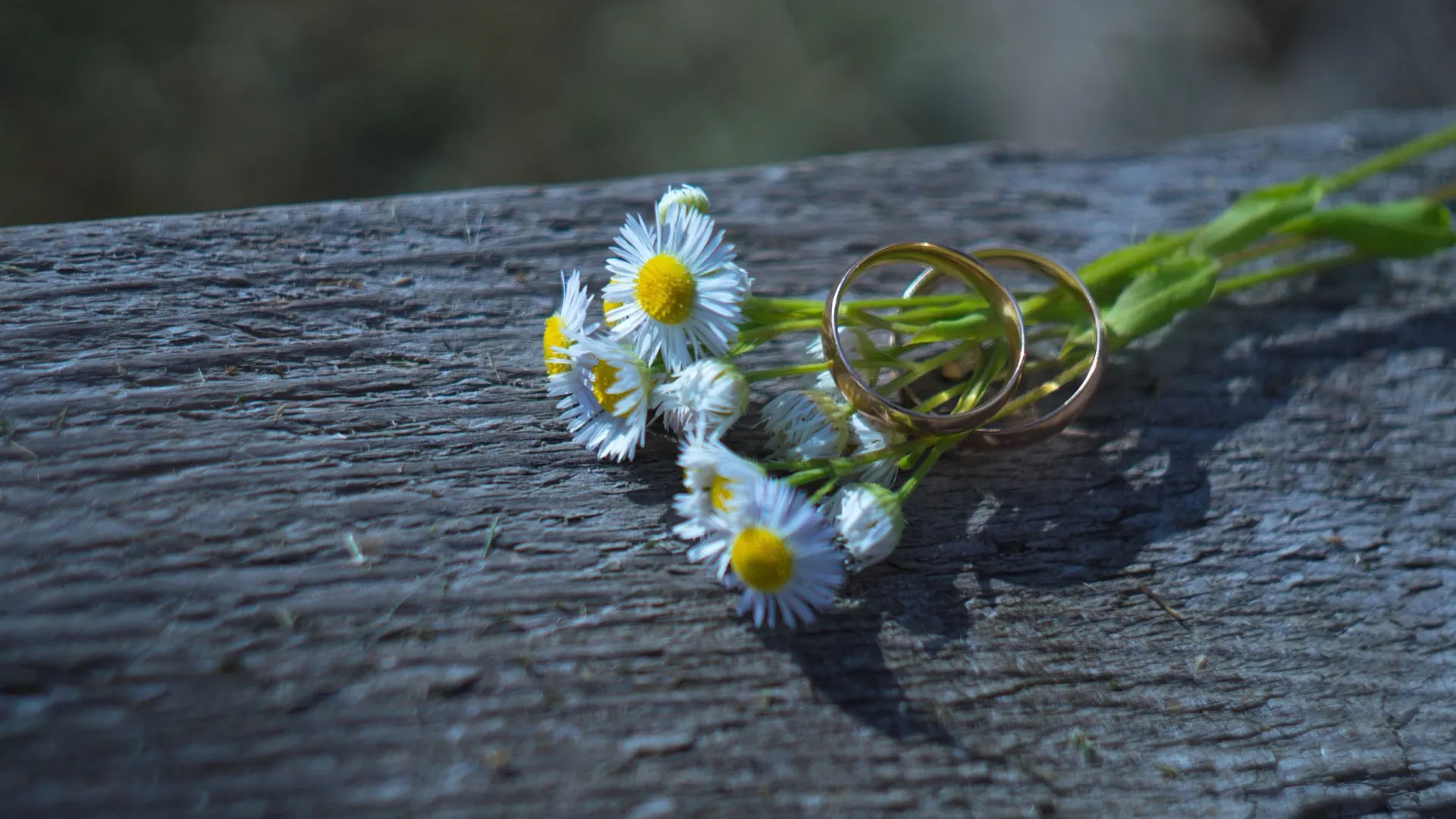 Фото: Olga Mitrokhova/Shutterstock/Fotodom