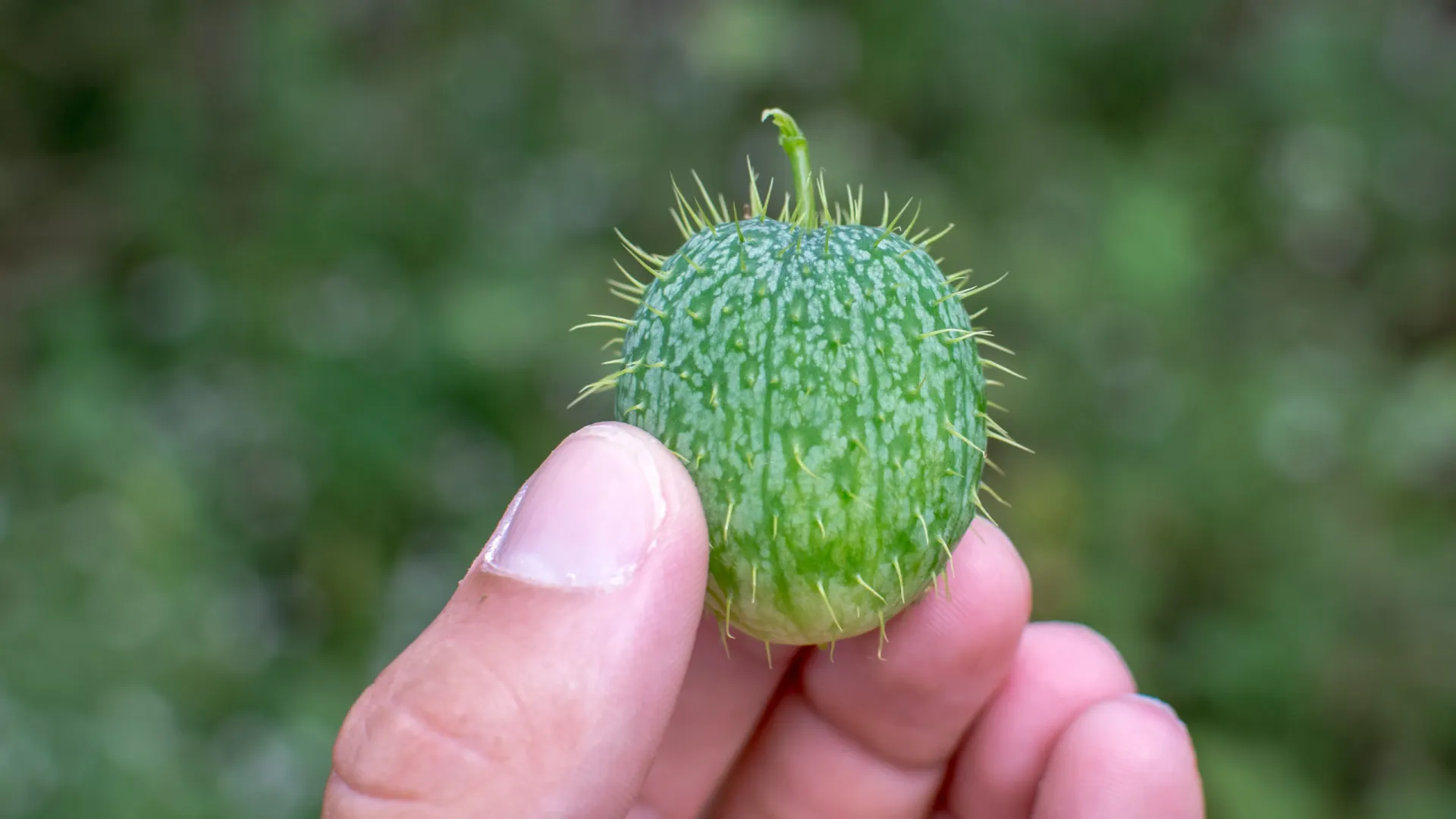 Фото: Michael A. Bennett/Shutterstock/Fotodom