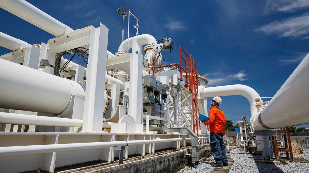 Фото: noomcpk/shutterstock.com