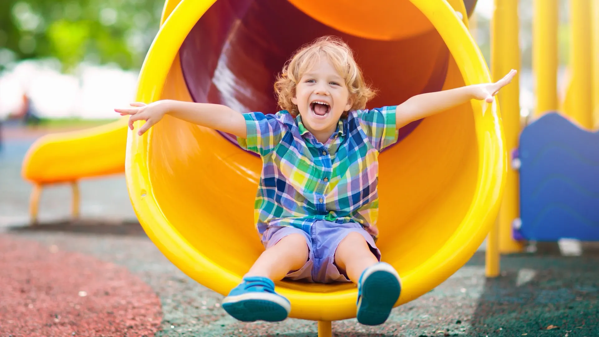 Фото: FamVeld/Shutterstock/Fotodom