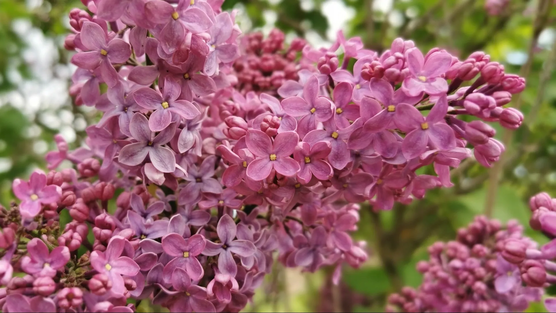 Фото: sunfe/Shutterstock/Fotodom