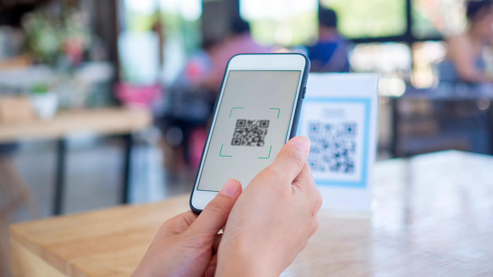 Фото: shisu_ka/shutterstock.com