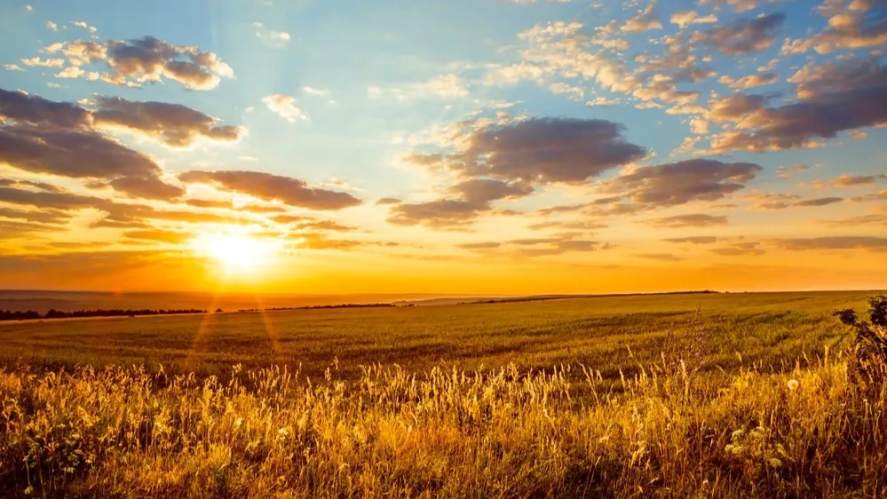 Фото: Evgrafova Svetlana/Shutterstock/Fotodom