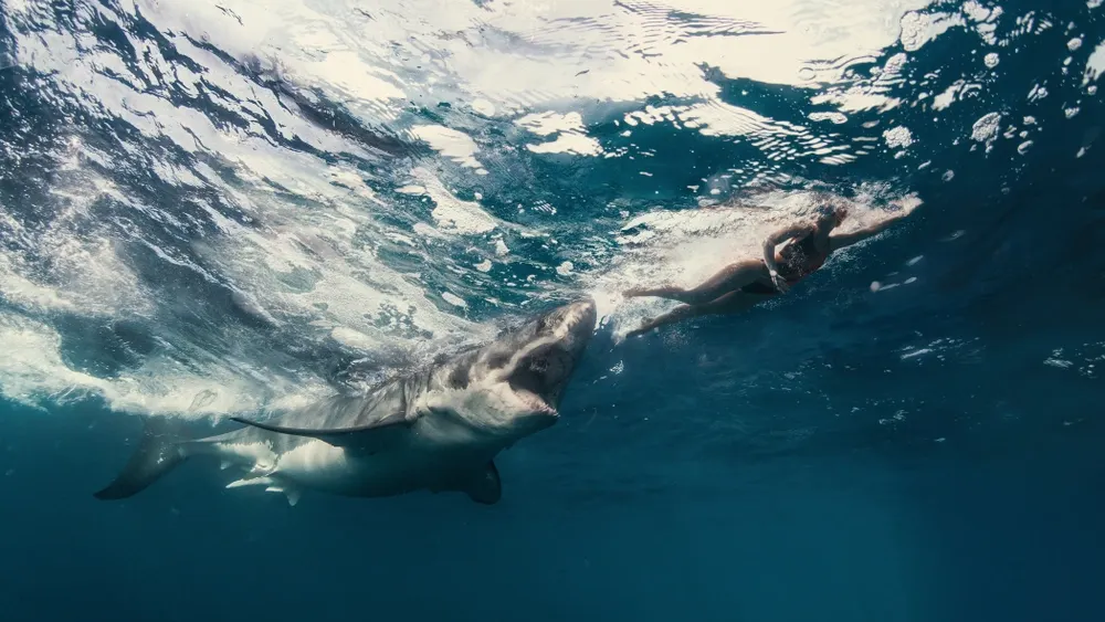 Фото: Will Falcon/Shutterstock/Fotodom