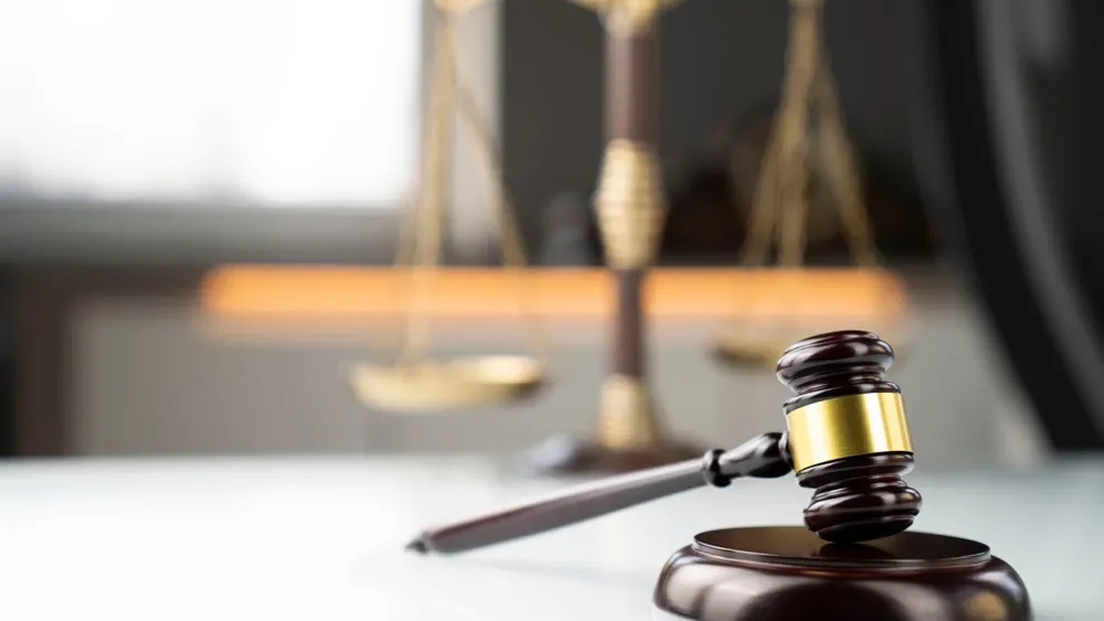 Фото: Zolnierek/Shutterstock