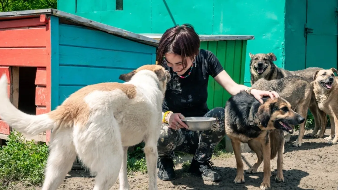 Фото: andysavchenko/shutterstock.com/Fotodom