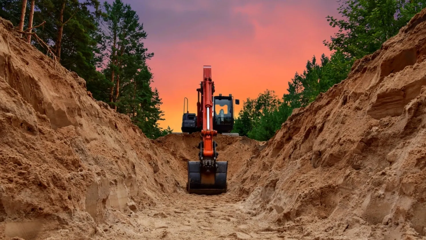 Фото: Maksim Safaniuk/shutterstock.com/Fotodom