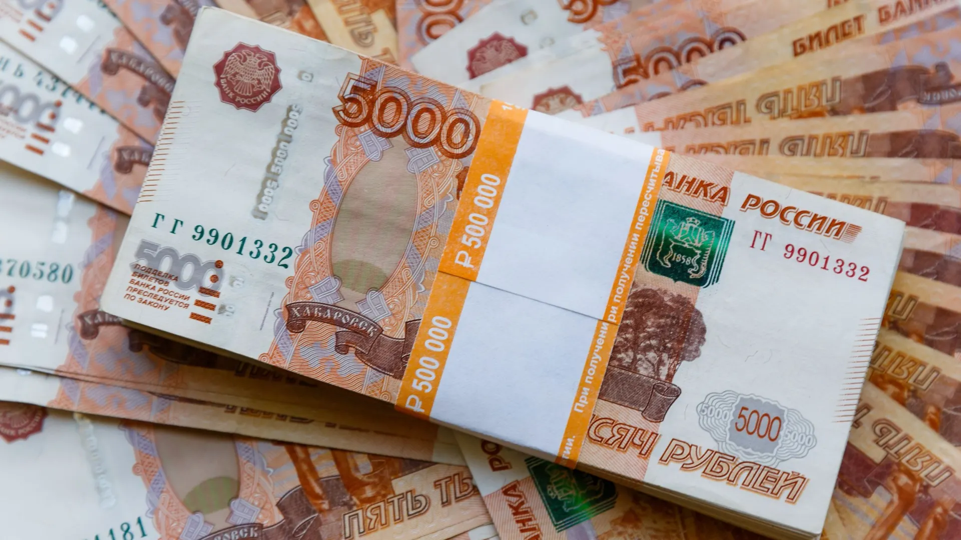 Фото: SDammer/Shutterstock/Fotodom