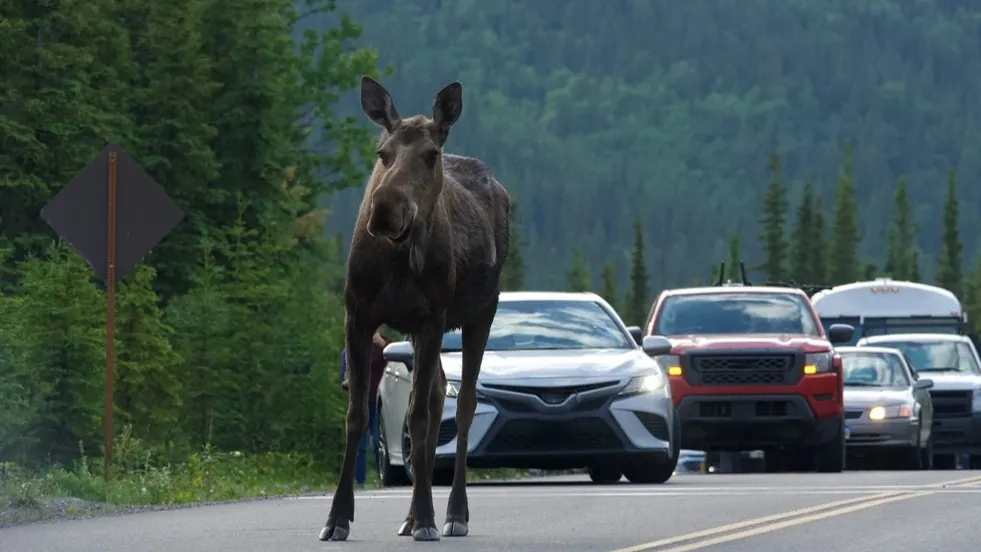 Фото: iampaese/Shutterstock/Fotodom