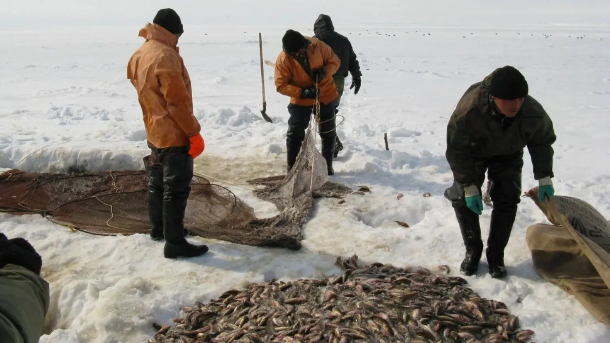 Фото: пресс-служба департамента агропромышленного комплекса ЯНАО