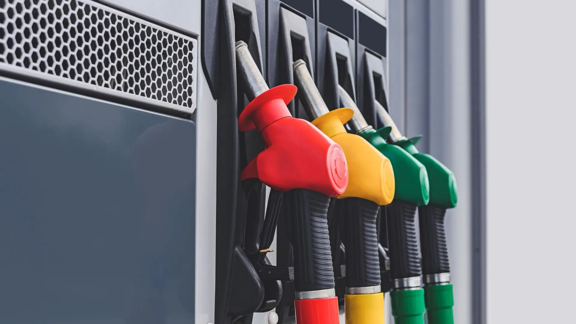 Фото: Victor Prilepa/Shutterstock/Fotodom