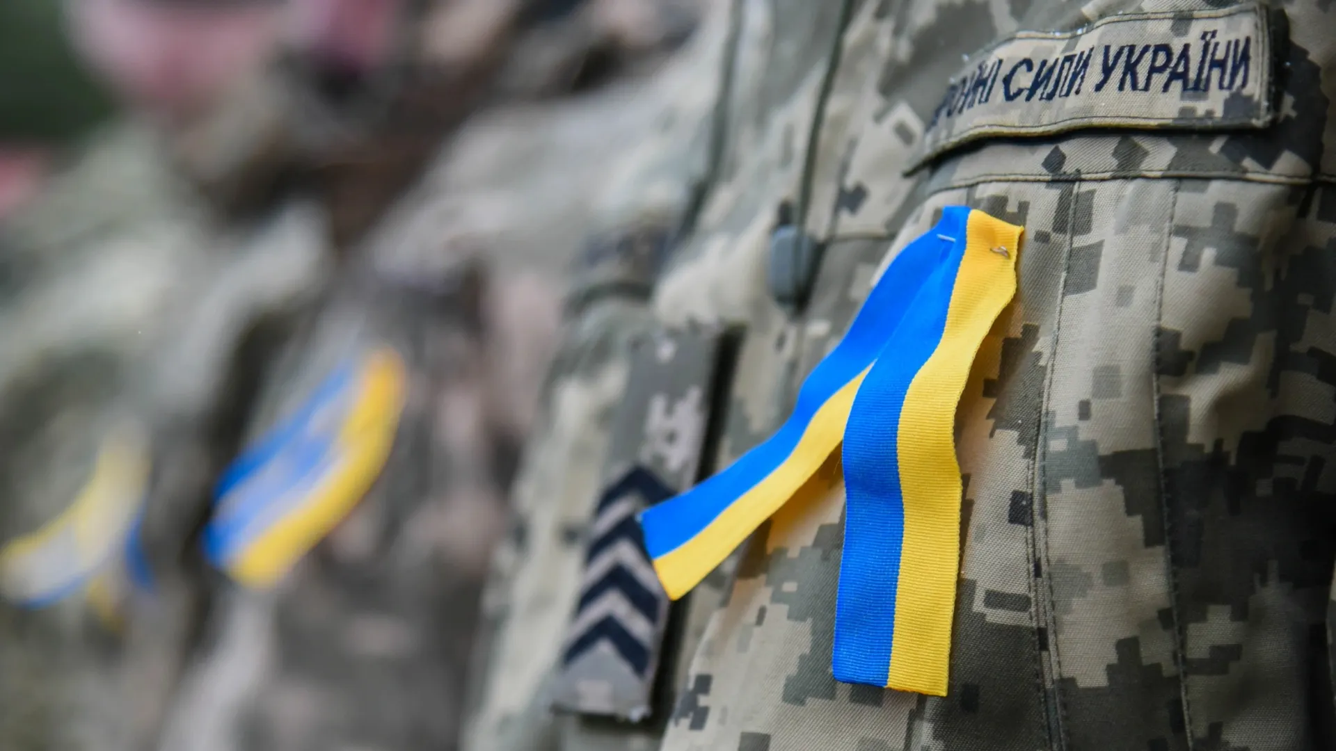 Фото: Oleh Dubyna/Shutterstock/Fotodom