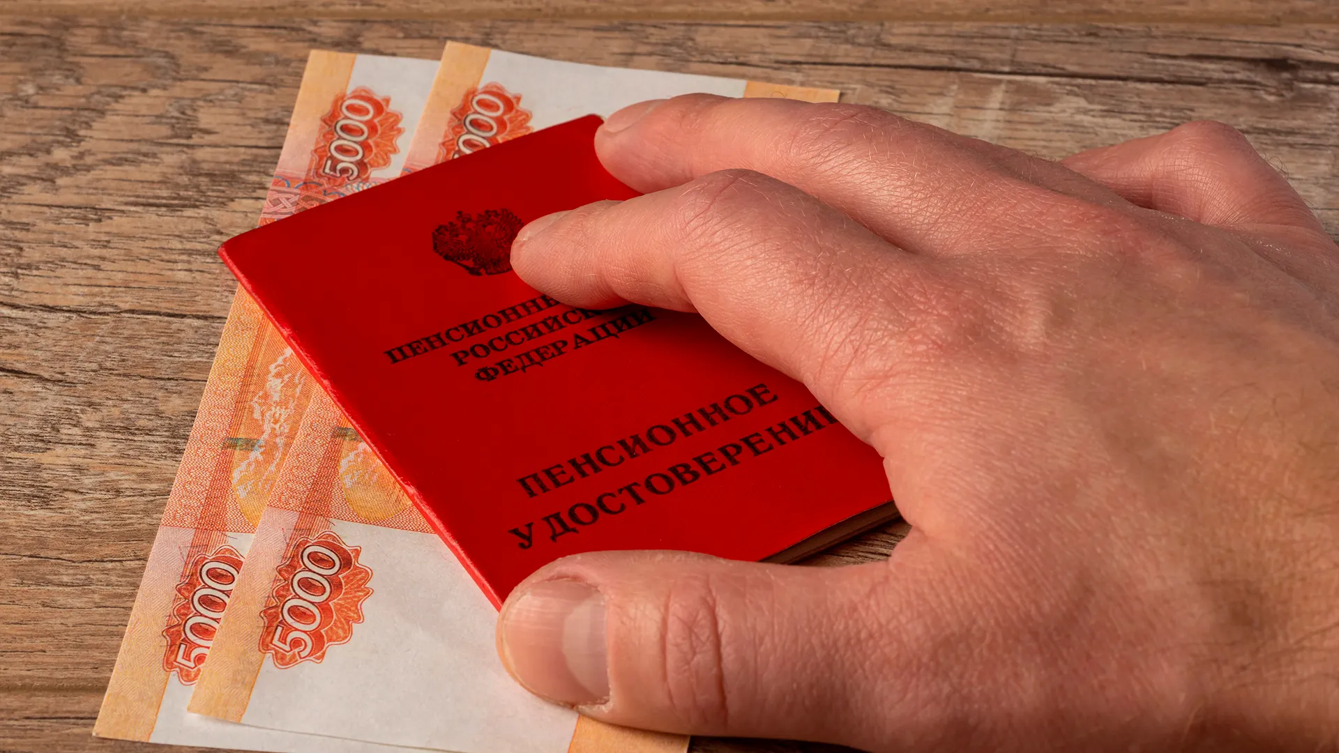 Фото: Sergei Gorin/shutterstock.com