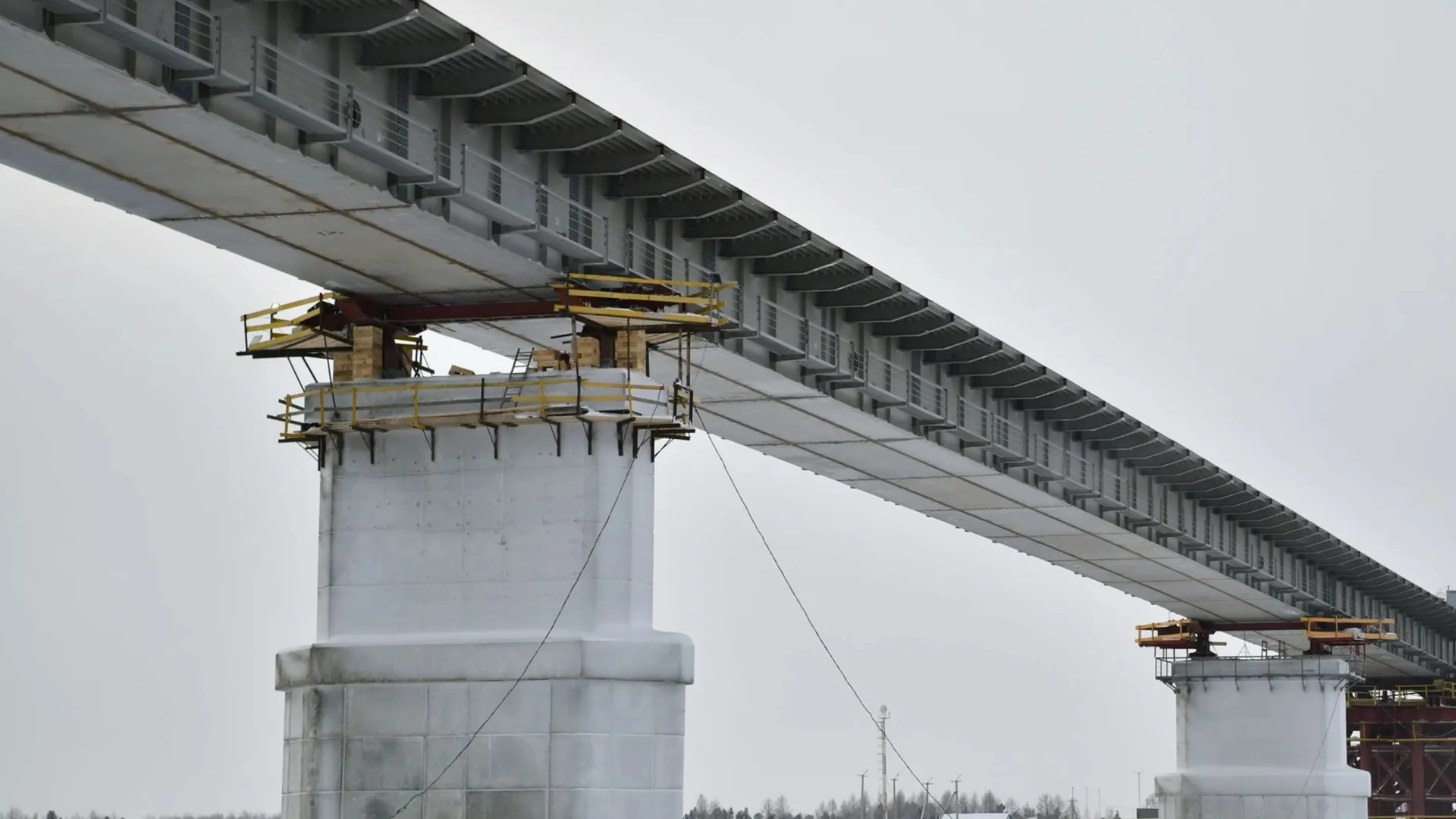 Фото: Андрей Ткачев/«Ямал-Медиа»