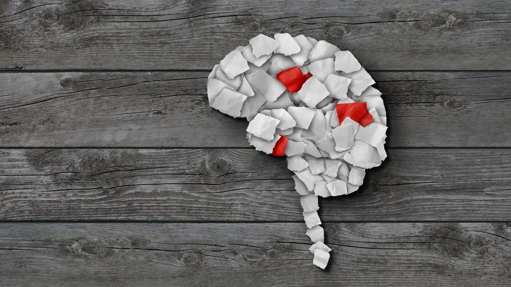 Фото: Lightspring/Shutterstock/Fotodom