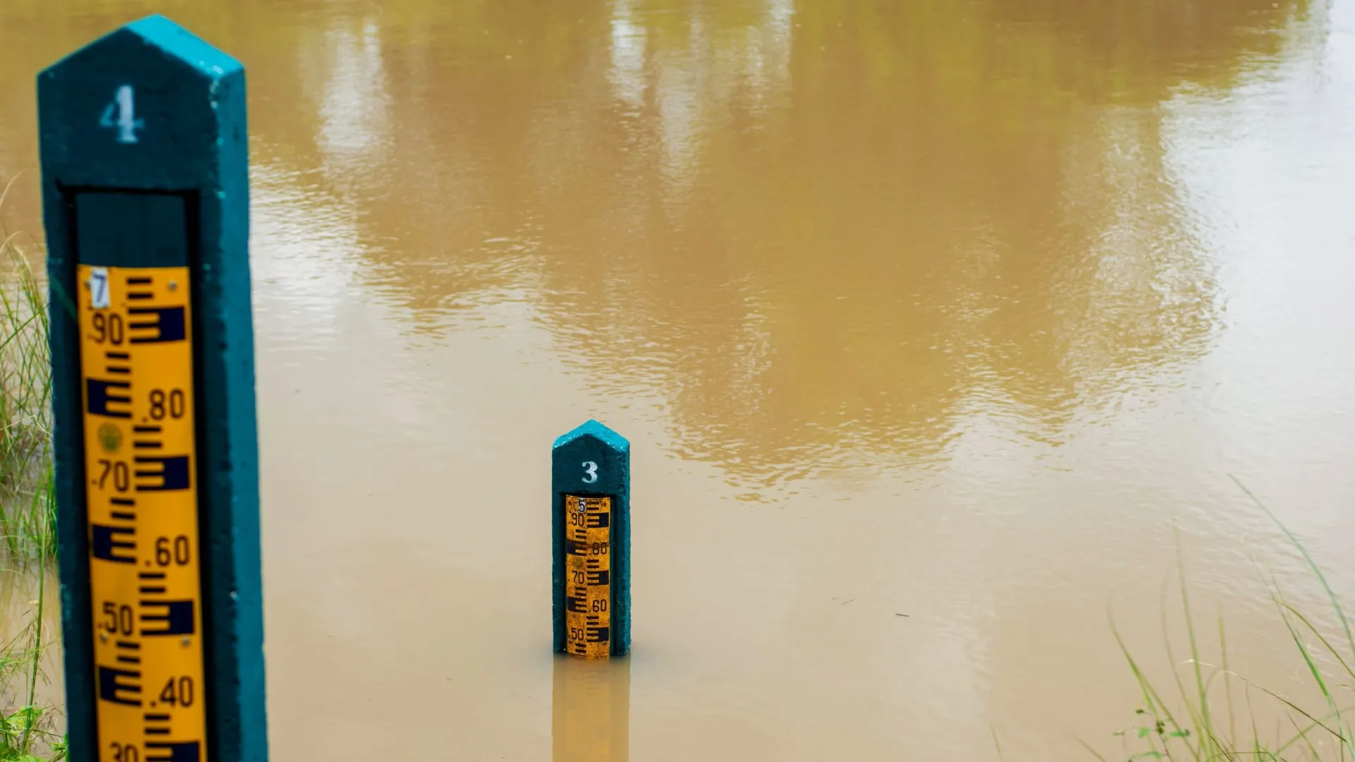 Фото: neenawat khenyothaa/Shutterstock/Fotodom