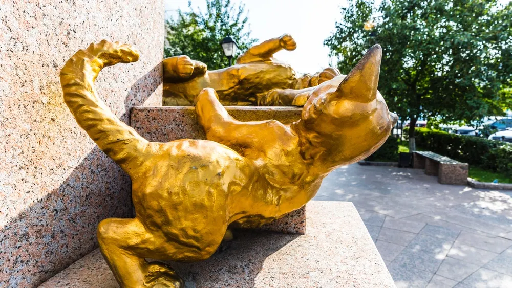 Фото: Damira/shutterstock.com