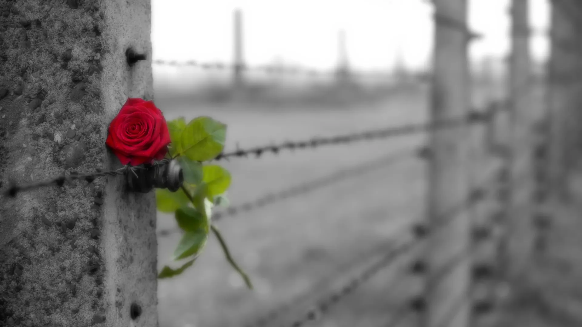 Фото: Rolf E. Staerk/Shutterstock/Fotodom