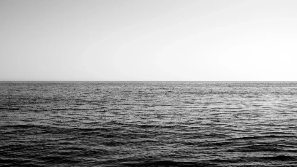 Фото: lay london/Shutterstock