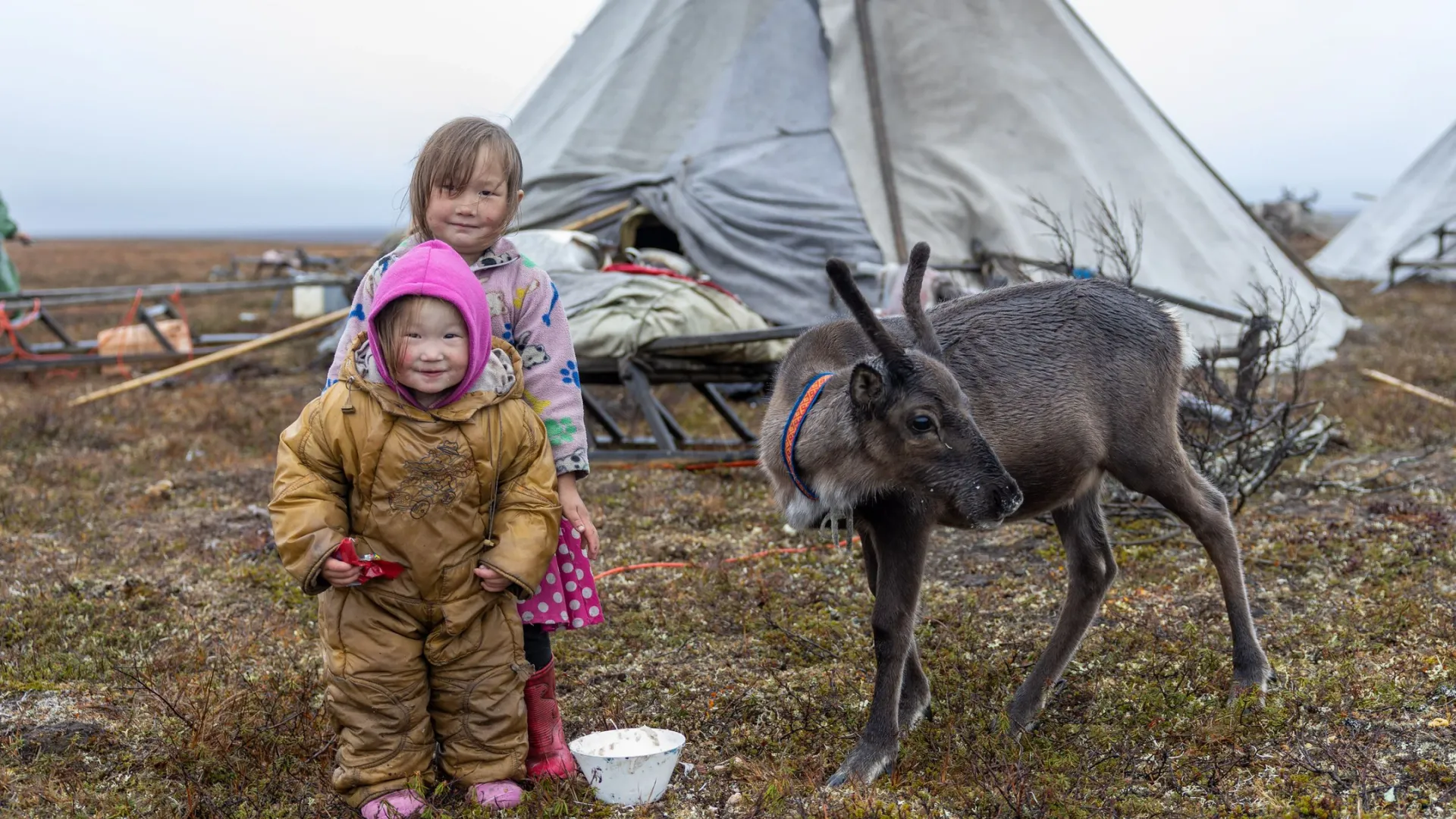 Фото: Федор Воронов/«Ямал-Медиа»