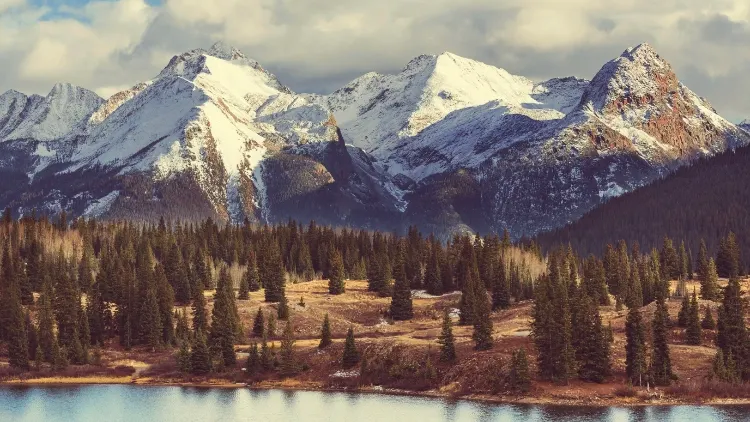 Фото: Galyna Andrushko/Shutterstock/Fotodom