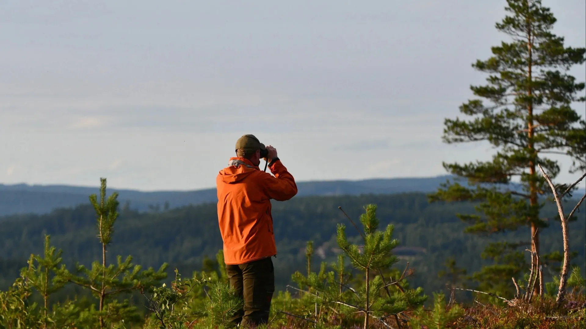 Фото: pixabay.com