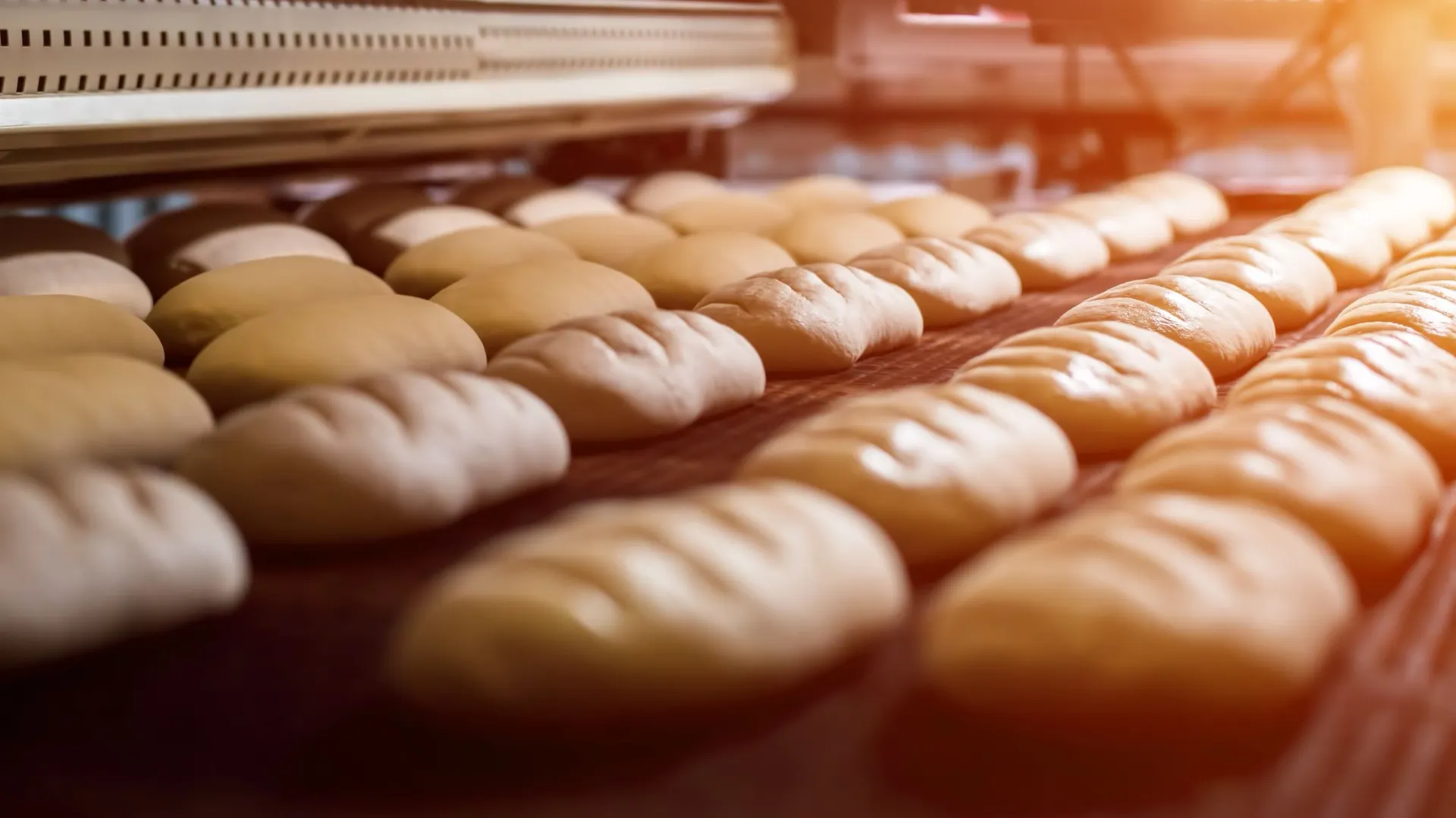 Фото: DenisProduction.com/Shutterstock/Fotodom