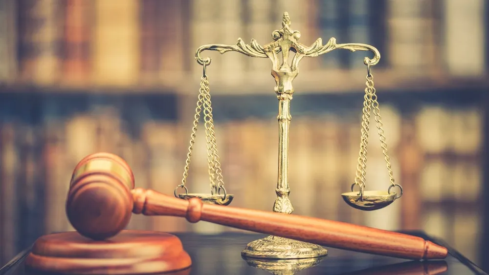 Фото: William Potter/Shutterstock