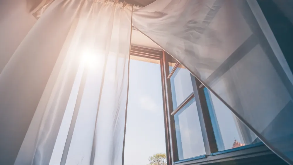 Фото: VanoVasaio/Shutterstock/Fotodom