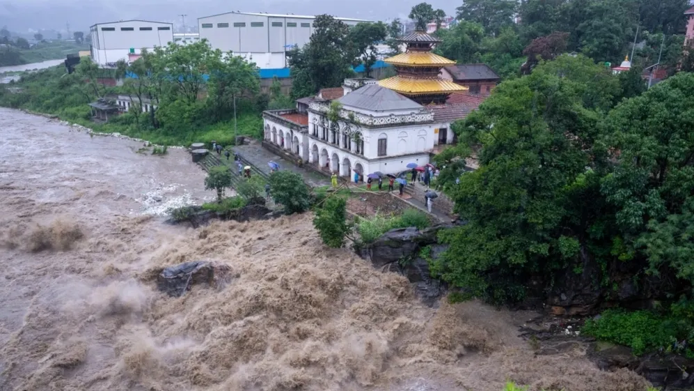 Фото: Pratisha Manandhar/Shutterstock/Fotodom