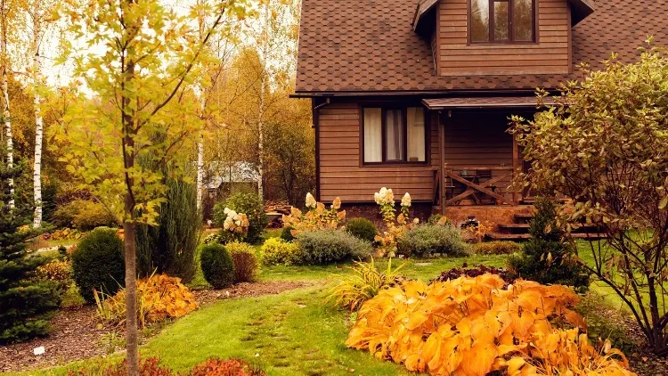 Фото: Maria Evseyeva/Shutterstock/Fotodom