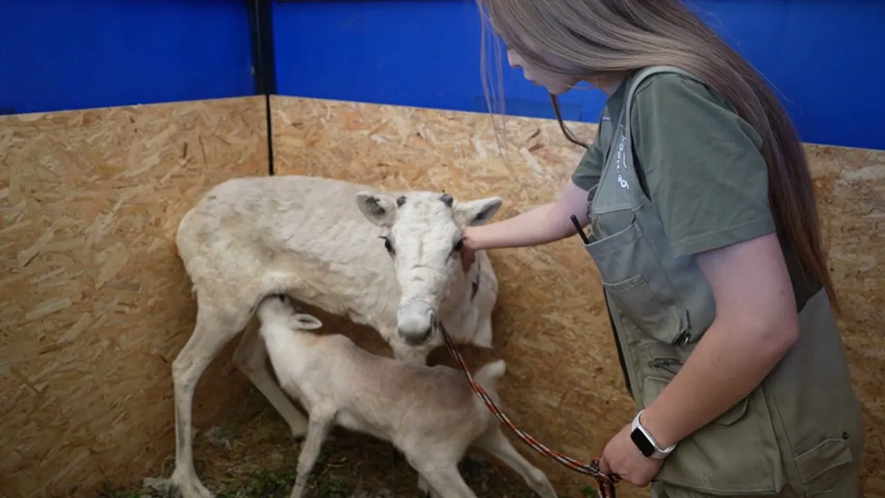 Фото предоставлено пресс-службой губернатора ЯНАО