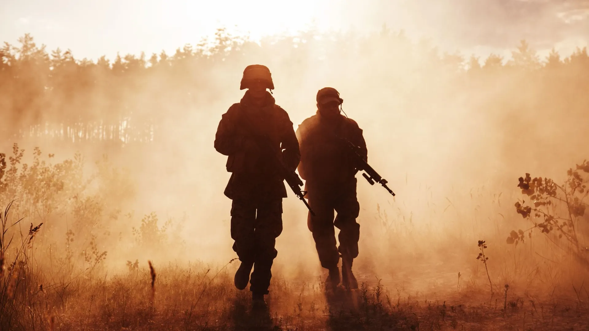 Фото: Getmilitaryphotos/Shutterstock/Fotodom