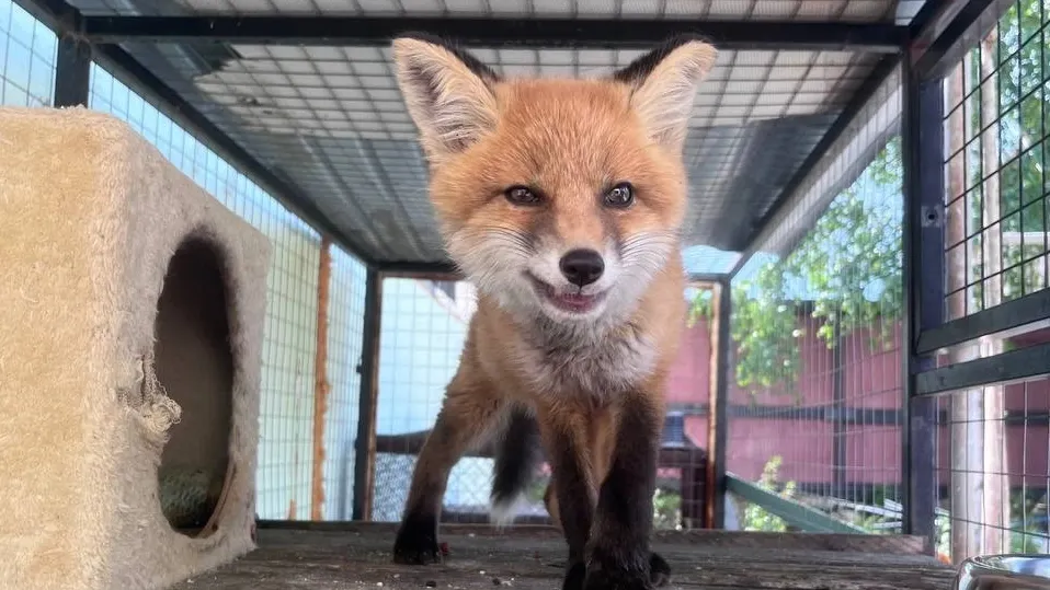 Фото: Яна Джус/«Ямал-Медиа»