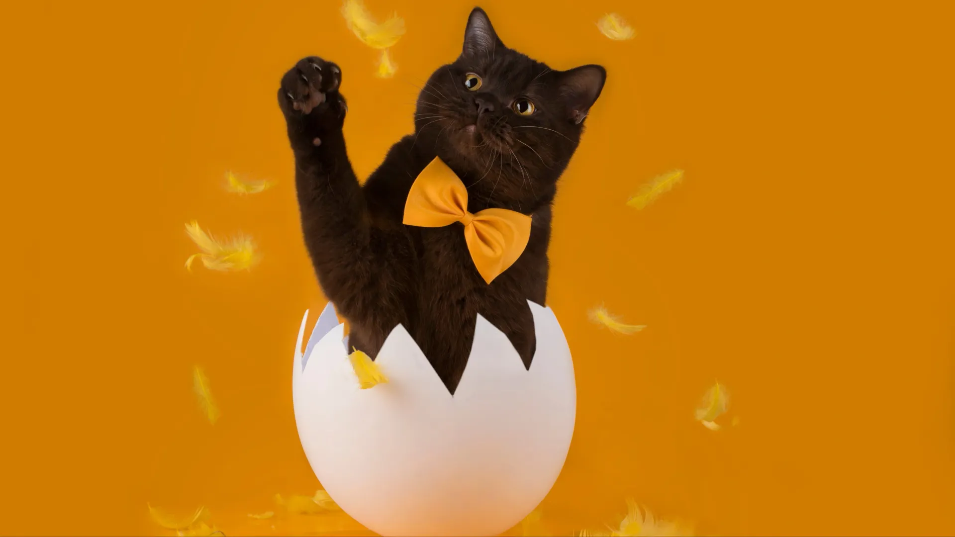 Фото: kuban_girl/Shutterstock/Fotodom