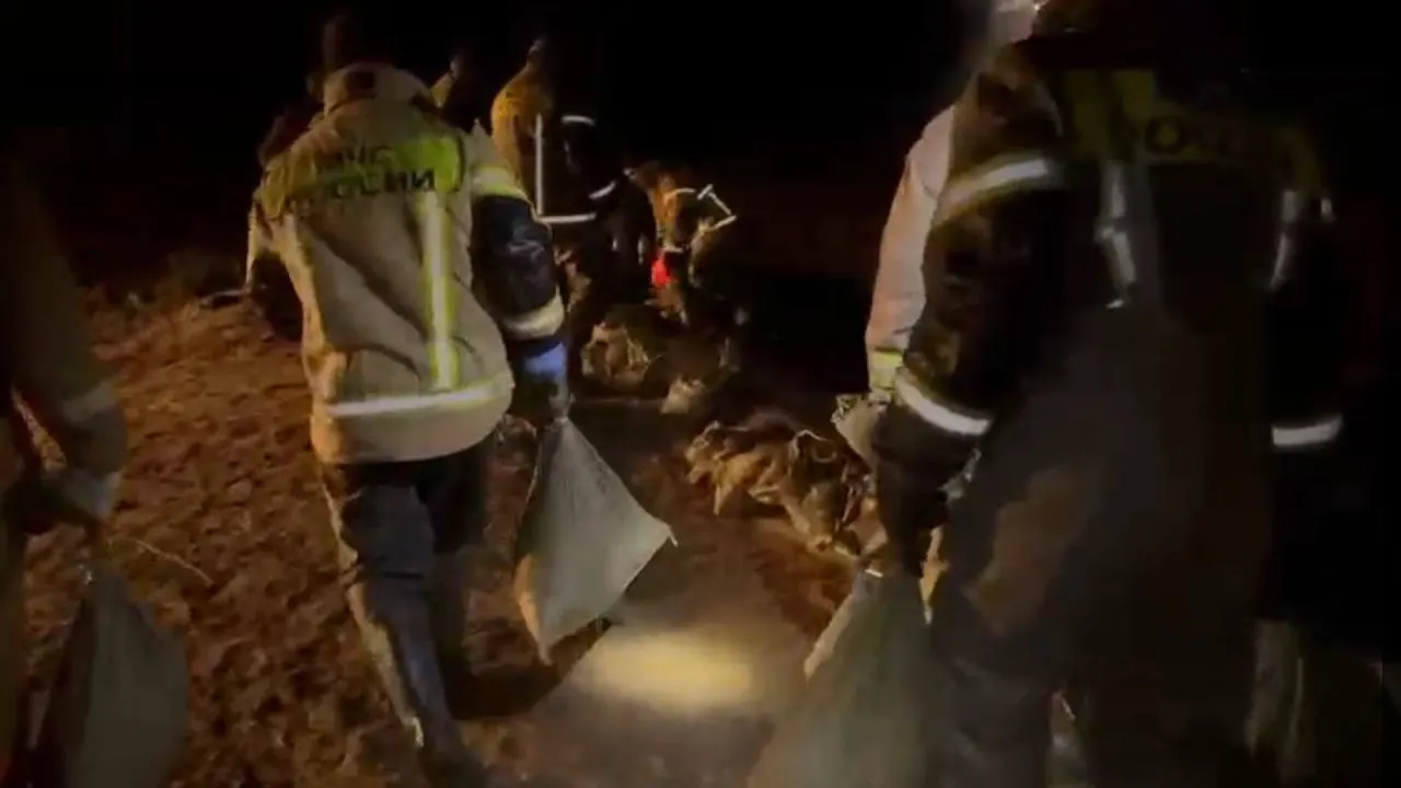 Кадр из видео: Денис Новиков/«Ямал-Медиа»